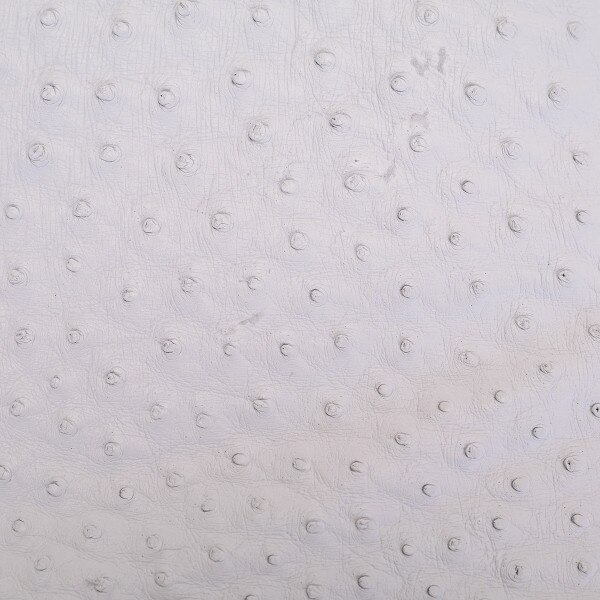 OSTH.Winter White.02.jpg Ostrich Hides Image